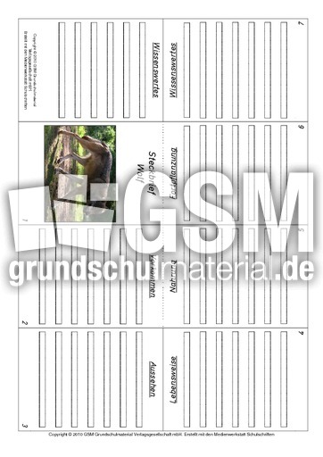 Faltbuch-Wolf.pdf